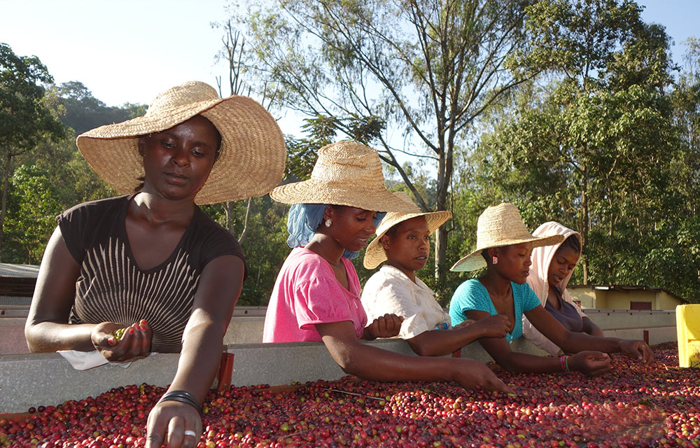 Ethiopia